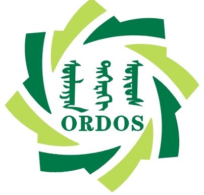 2013第八屆中國鄂爾多斯國際煤炭及能源工業(yè)博覽會(huì)